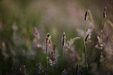 《小缇娜的奇幻之地》新截图发布 IGN称赞故事有魅力
